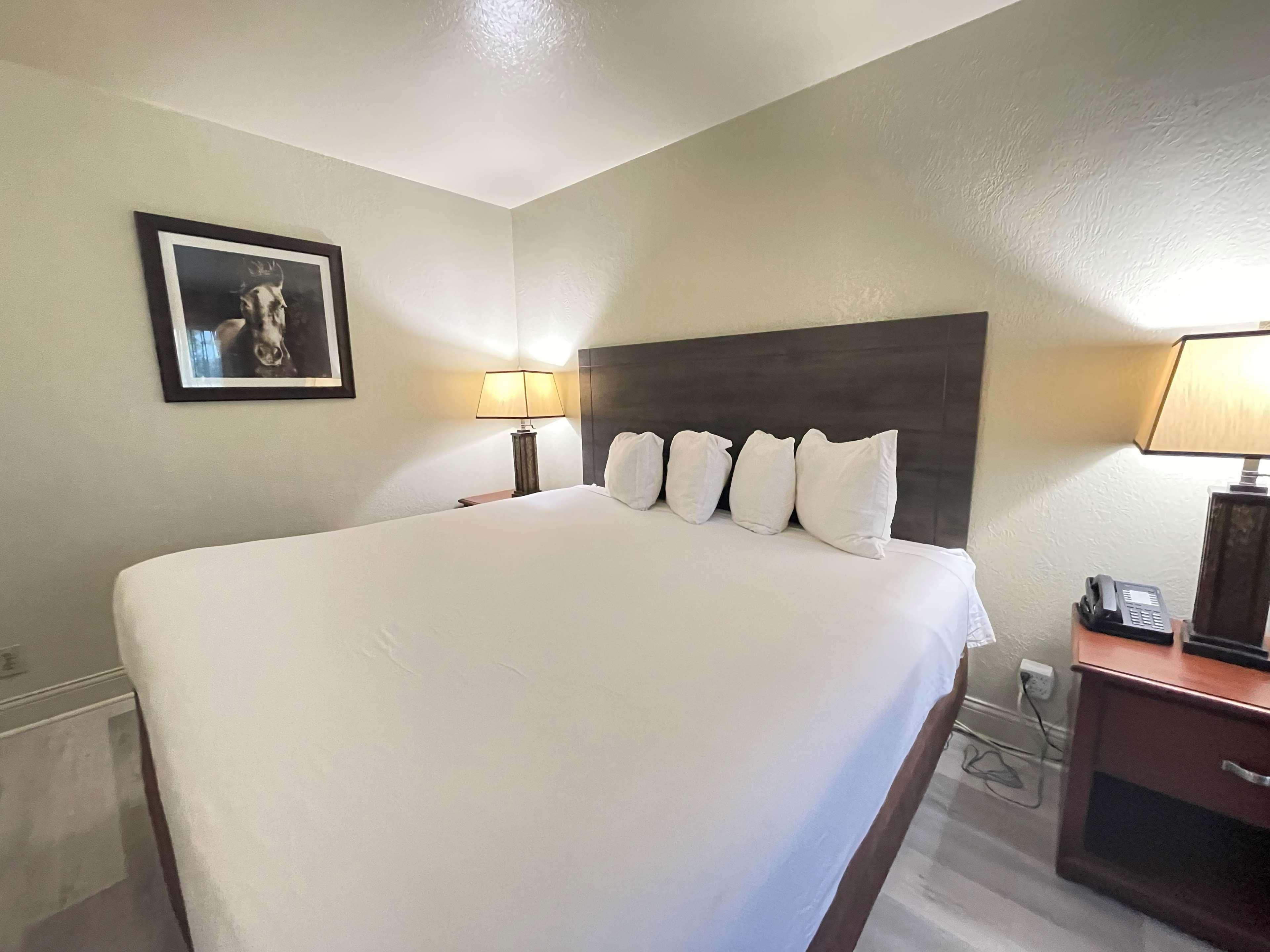 Surestay Plus By Best Western Lawton Eksteriør billede