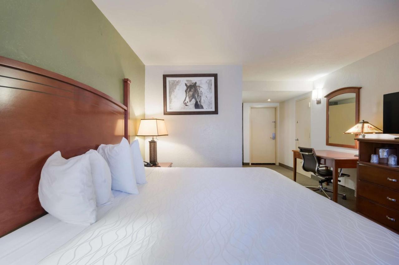 Surestay Plus By Best Western Lawton Eksteriør billede